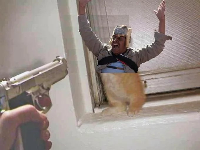 A Photoshop composite placing Bread Helmet Man inside an indoor scene where a handgun is pointed at him with an orange cat in the foreground.