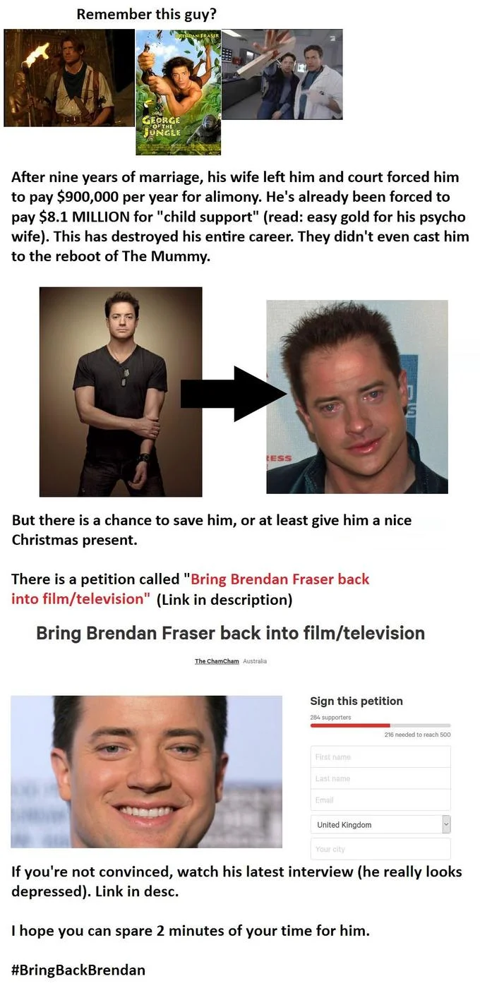 Brendan Frasers Alimony Just Fuck My Shit Up — Infographic explaining Brendan Fraser's alimony story and petition campaign