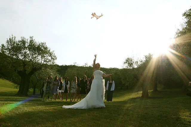 Brides Throwing Cats — Outdoor bride throwing a small cat skyward with sun flare