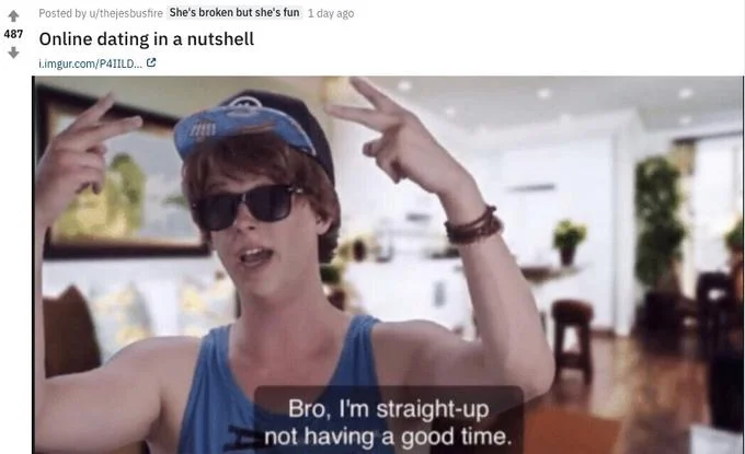 Bro Im Straight Up Not Having A Good Time — Reddit post titled 'Online dating in a nutshell' featuring the meme image