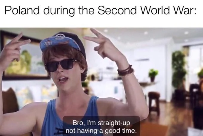 Bro Im Straight Up Not Having A Good Time — Meme with text 'Poland during the Second World War:' above the not having a good time image