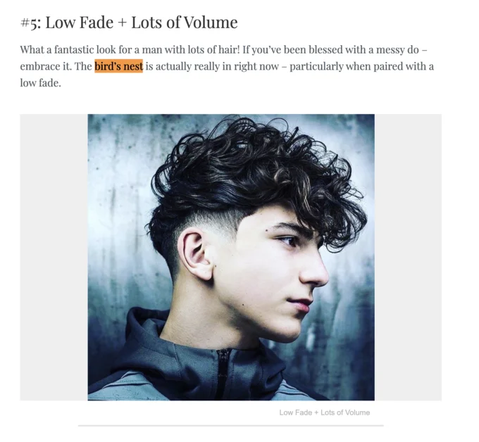 Broccoli Haircut — Hairstyle guide showing low fade with voluminous curly hair
