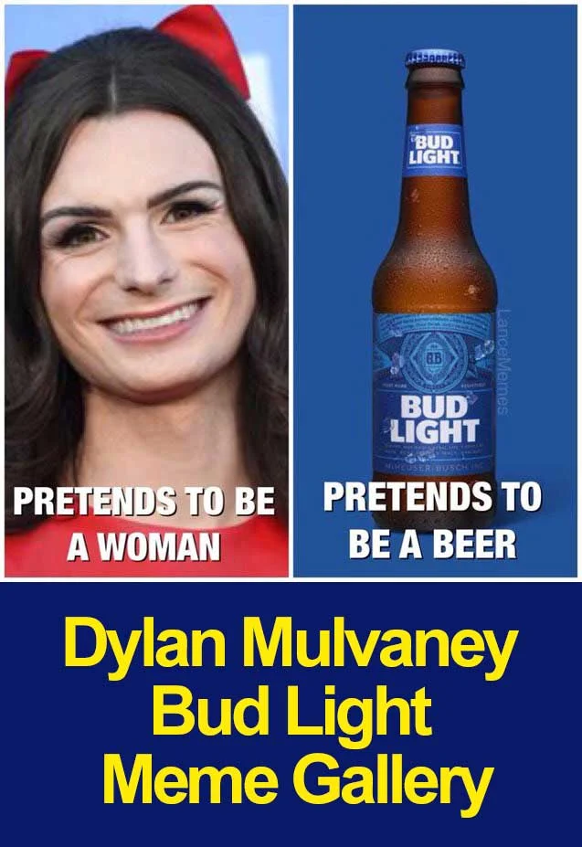 Bud Light Dylan Mulvaney — A two-panel comparison meme using the 'pretends to be' format, juxtaposing Dylan Mulvaney on the left with Bud Light on the right.