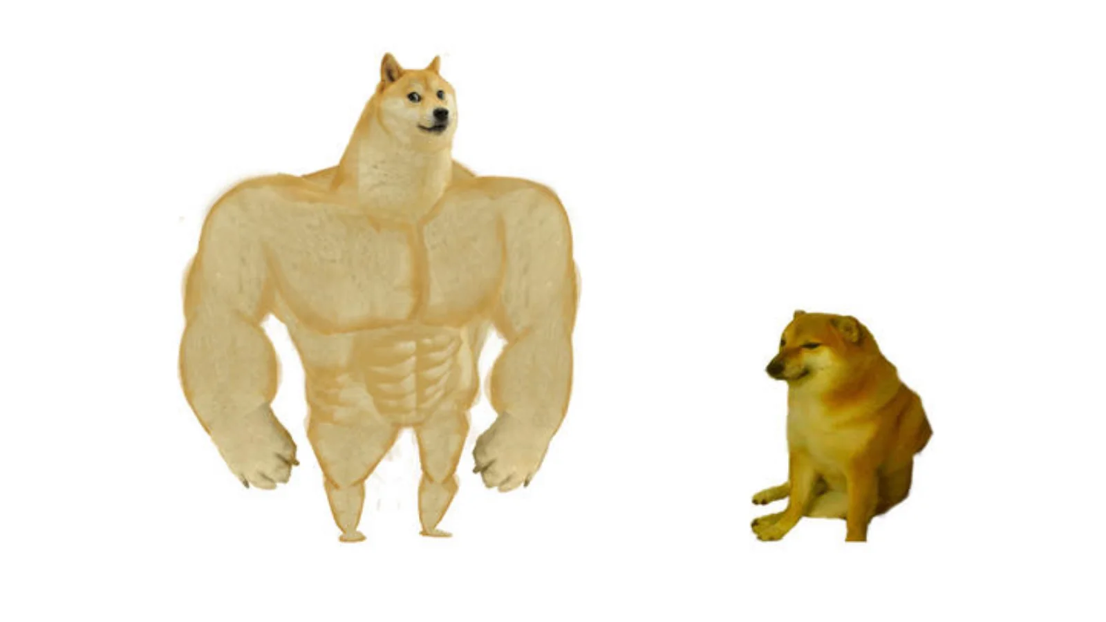 Buff Doge vs Cheems Meme, Comparison Format & Shiba Inu Dogs | Meme Wiki