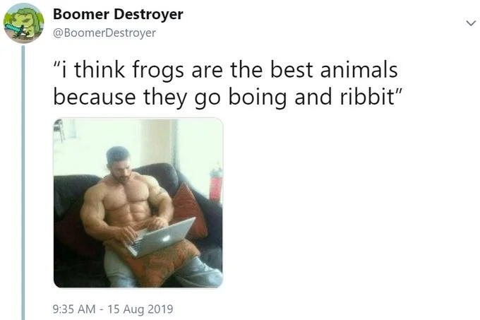 Buff Guys Typing on Laptops — Tweet from Boomer Destroyer with buff man on laptop and quote about frogs