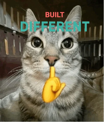 Surprised cat with object in mouth and 'BUILT DIFFERENT' text overlay in contrasting colors