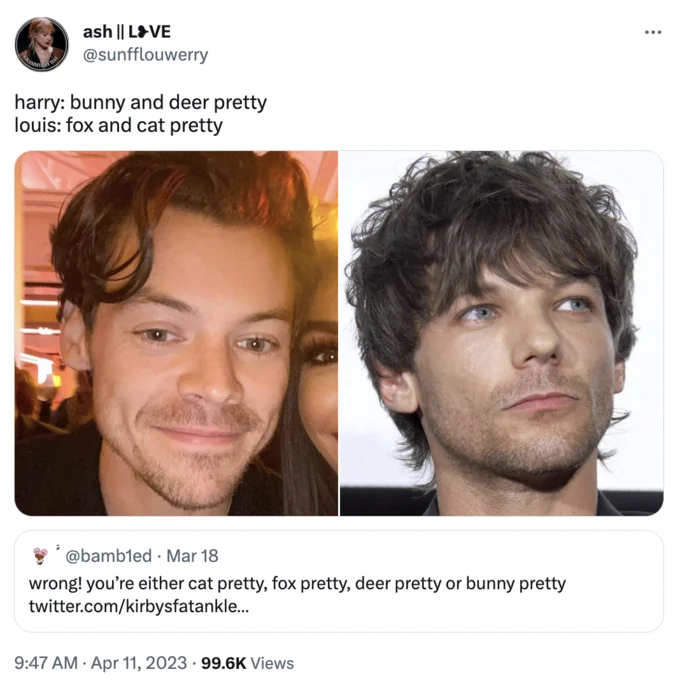 Bunny Pretty, Fox Pretty, Deer Pretty, Cat Pretty — Tweet by @sunfflouwerry labeling Harry Styles bunny/deer pretty and Louis Tomlinson fox/cat pretty, with
