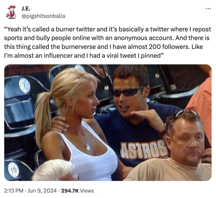 Tweet quoting someone bragging about their burner Twitter and burnerverse following, with the Astros fans photo.