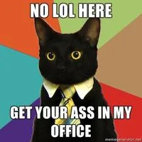 Business Cat template with feline wordplay caption.