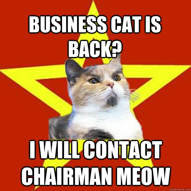 Business Cat — Brown and white cat on red and yellow background.