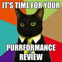 Business Cat template with hiring process humor.