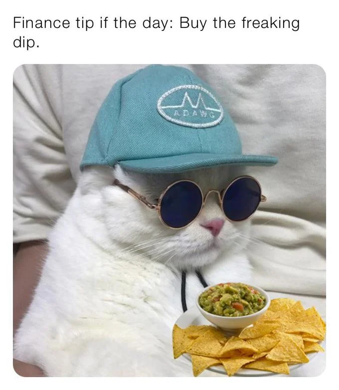 Buy the Dip — Cat in cap and sunglasses with chips and guacamole, captioned Buy the freaking dip