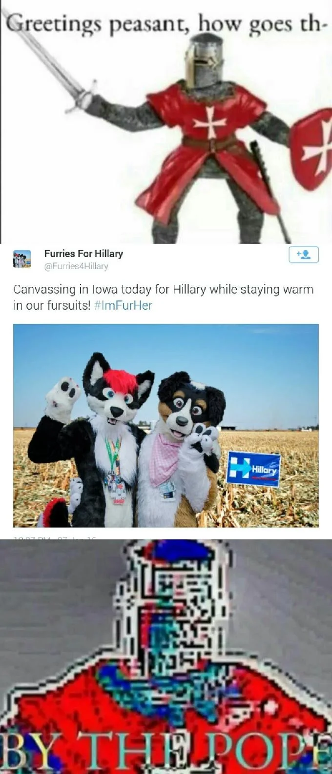 Meme with knight, Furries For Hillary tweet, and pixelated 'By the Pope' knight.