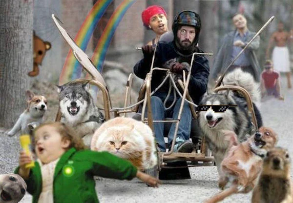 Cancer — Photoshop of Keanu Reeves and Rihanna on a dog-pulled cart with meme cutouts