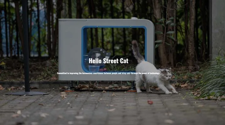 Cat Feeder Camera Cats — Hello Street Cat feeder station outdoors with a stray kitten beside it and the brand tagline overlaid
