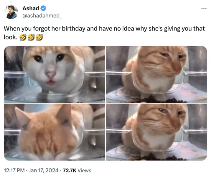 Cat Feeder Camera Cats — Tweet GIF captioned 'why's the second guy so suspicious' showing a suspicious-looking orange cat at the feeder