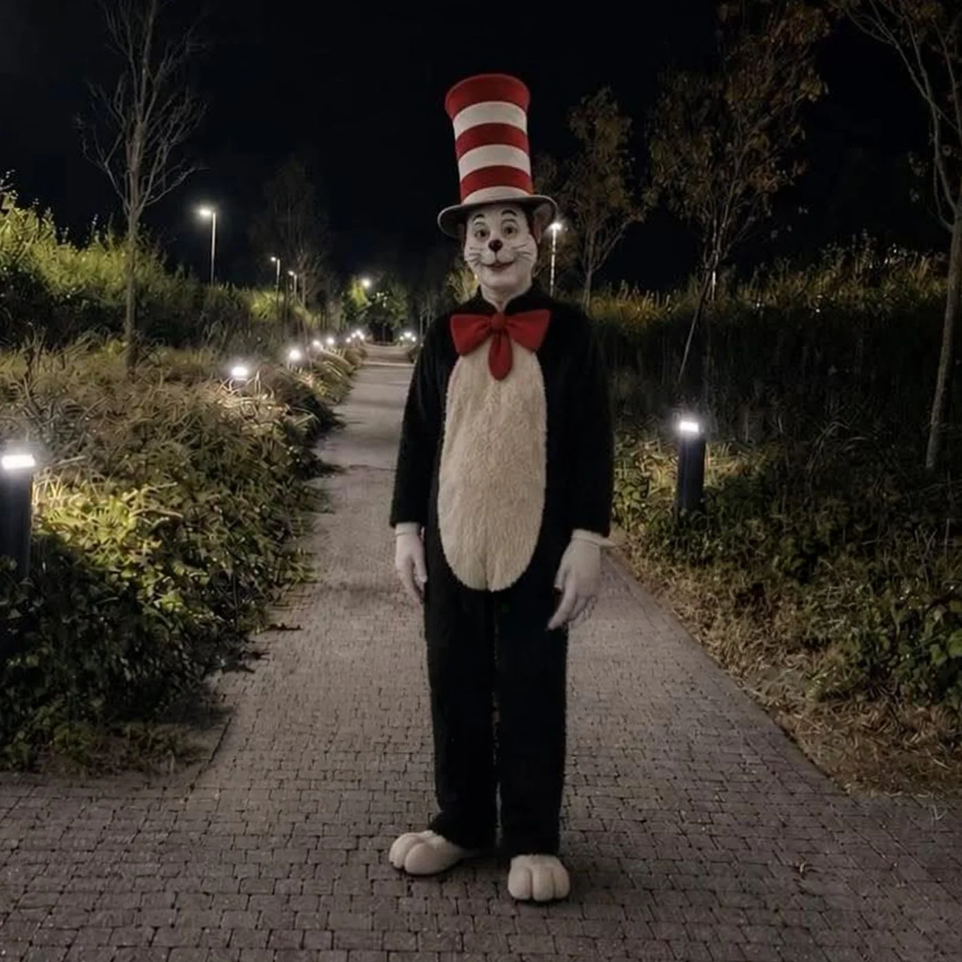 Cat In the Hat Serial Killer Trend — Full-length photo of a person dressed as the Cat in the Hat on a lit path at night.