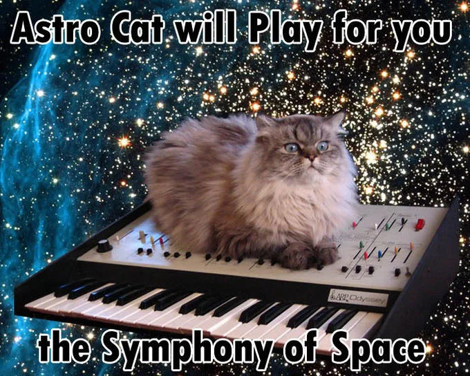 Cat On A Keyboard In Space — Cat on synthesizer in space with caption 'Astro Cat will Play for you the Symphony of Space'