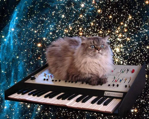 Cat On A Keyboard In Space — Fluffy cat sitting on ARP Odyssey synthesizer in outer space