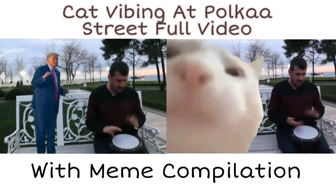 Cat Vibing to Ievan Polkka — A video compilation thumbnail combining the dancing white cat with the street musician playing drums.