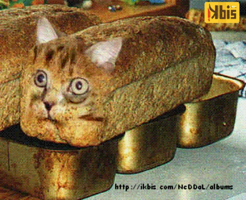 Catbread Nekopan — Cat with head sticking through a loaf of bread