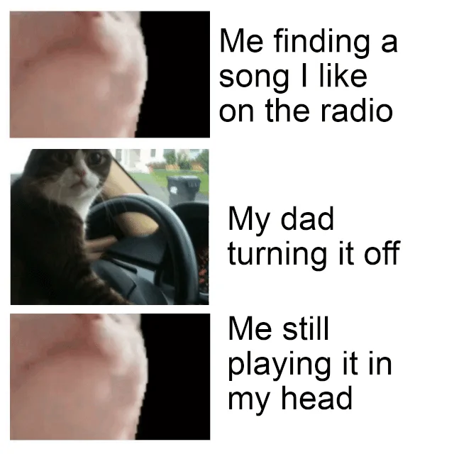 A three-panel reaction meme using Catjam in different emotional states about finding and losing favorite song.