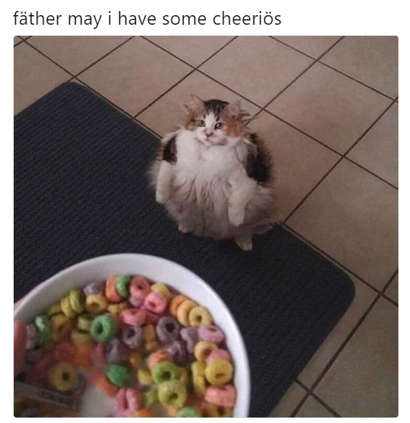 Cats Wanting Fruit Loops — The original Fruit Loops cat photo overlaid with text reading fäther may i have some cheeriös.