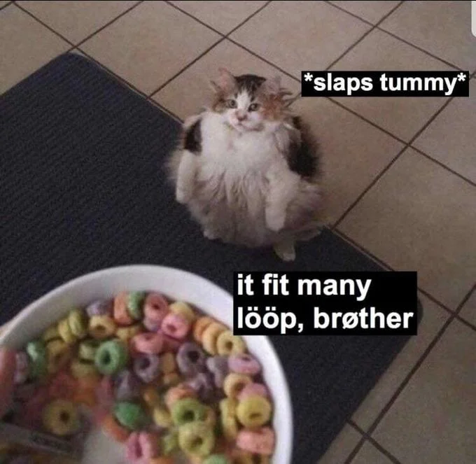 Cats Wanting Fruit Loops — The cat photo with text overlays it fit many lööp brøther and a belly joke.