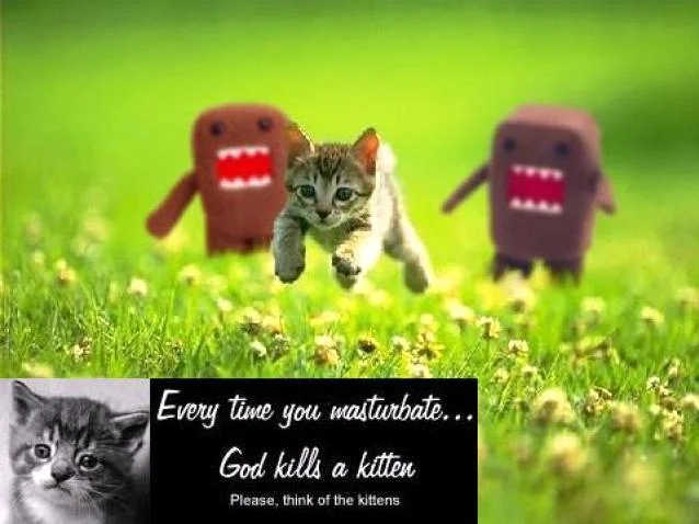 Cat — Kitten leaping with Domo figures alongside 'God kills a kitten' meme text