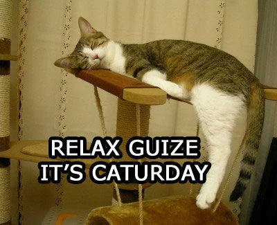 A tabby and white cat lounging on a wooden perch with impact text saying RELAX GUIZE IT'S CATURDAY.