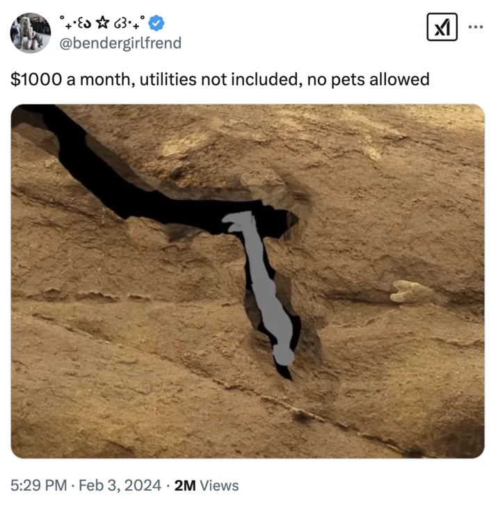 Cave Diver Memes — Tweet joking the Nutty Putty Cave diagram is a $1000 a month apartment rental