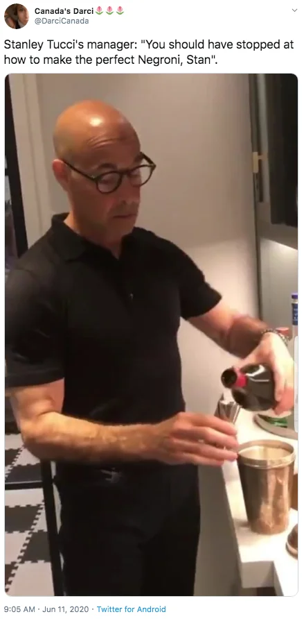 Celebrity I Take Responsibility Video — Twitter screenshot joking Stanley Tucci's manager wished he stopped at making the perfect Negroni.
