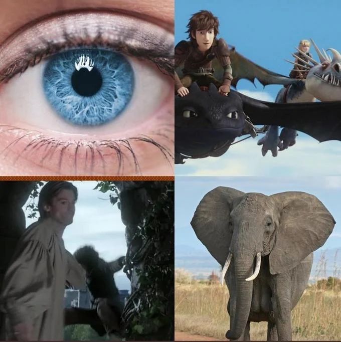 Cerseis Elephants — Collage of blue eye, Toothless dragon, Iron Mask scene, and an elephant