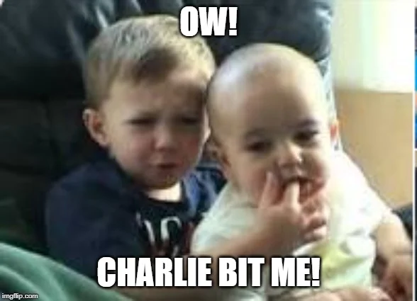 Charlie Bit My Finger — Pivotal moment from viral video showing toddlers with text reading OW and CHARLIE BIT ME.