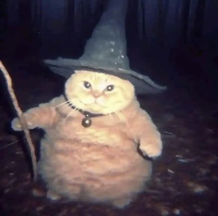 Cheeseball The Wizard Cat