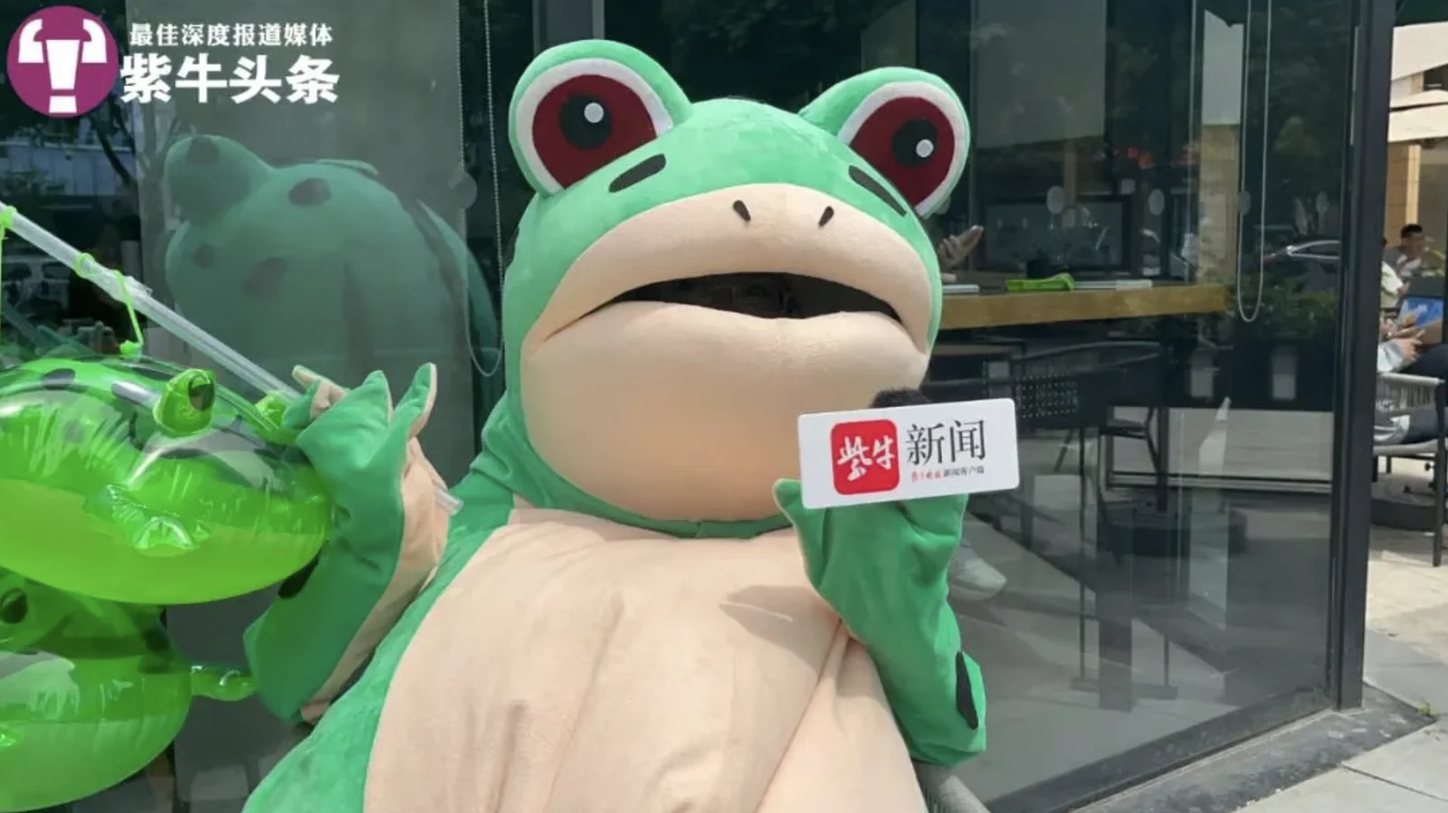 Chinese Frog Mascot