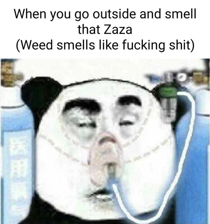Chinese Panda Wearing Oxygen Mask — Panda oxygen mask meme with English caption about disliking the smell of weed.