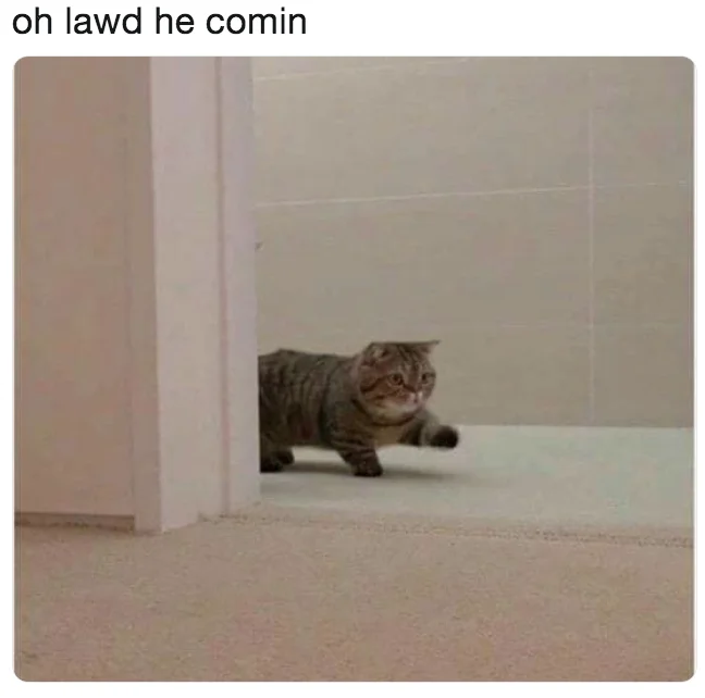 Chonk Oh Lawd He Comin — Chunky tabby cat rounding a doorway with one paw forward, captioned oh lawd he comin.