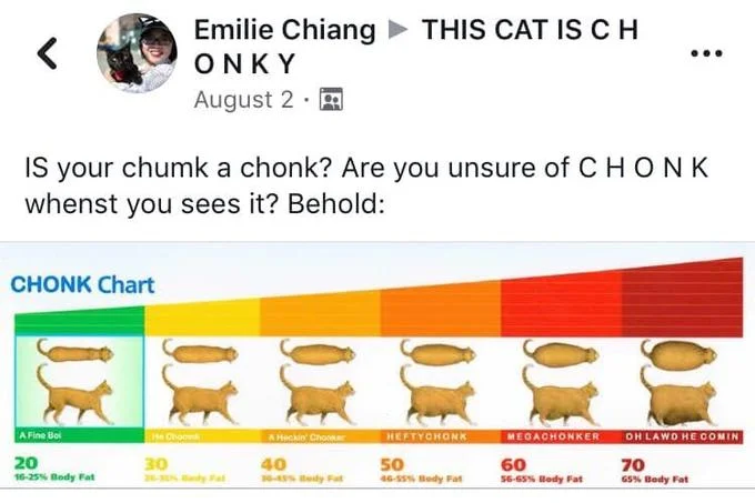 Chonk Oh Lawd He Comin — Facebook post by Emilie Chiang sharing the full six-tier CHONK Chart of increasingly chubby cats.