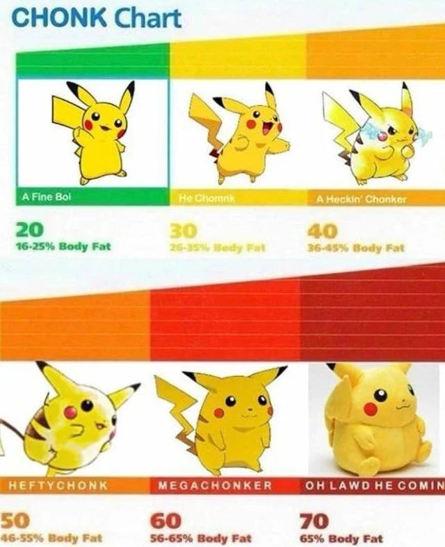 Chonk Oh Lawd He Comin — Pikachu CHONK Chart parody with six tiers of increasingly chubby Pikachu across body fat categories.