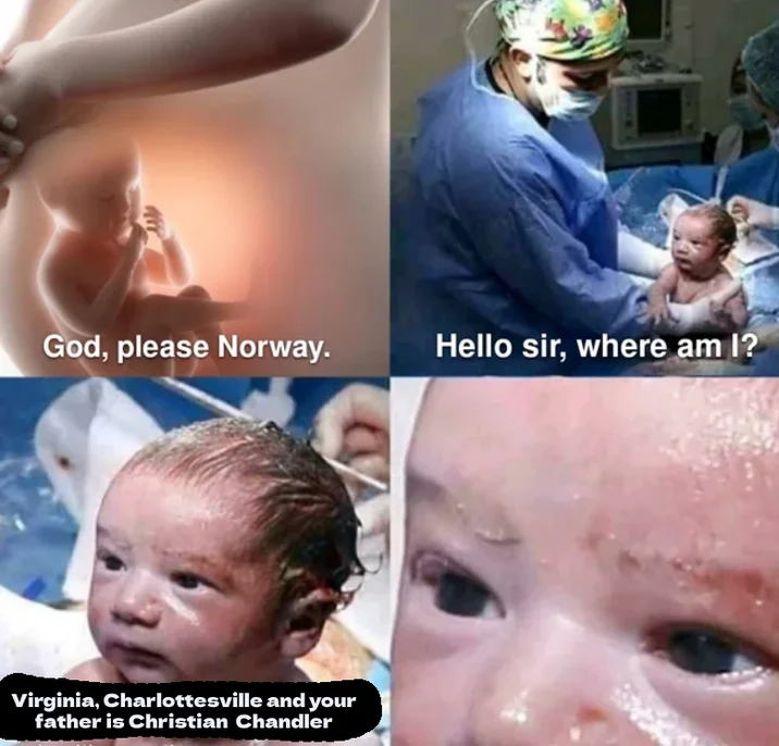 Chris Chan Cwc Christian Weston Chandler — Four-panel meme about being born to Christian Chandler as father