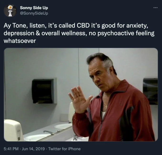 Christopher Moltisanti Explains — Tweet showing Paulie Walnuts in a bathroom with text explaining CBD to Tony