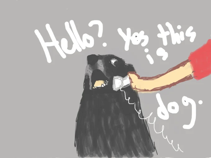 Christopher Poole Moot — Cartoon of a black dog holding a phone with caption Hello Yes This Is Dog
