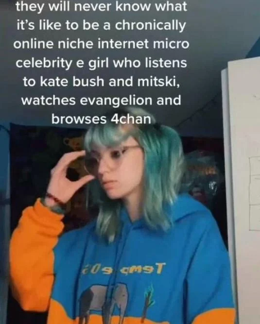 TikTok screenshot of a teal-haired e-girl with caption describing herself as a chronically online niche internet micro celebrity