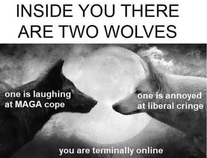 Chronically Online — Two wolves meme with captions about laughing at MAGA cope and being annoyed at liberal cringe, concluding 'you are terminally online'