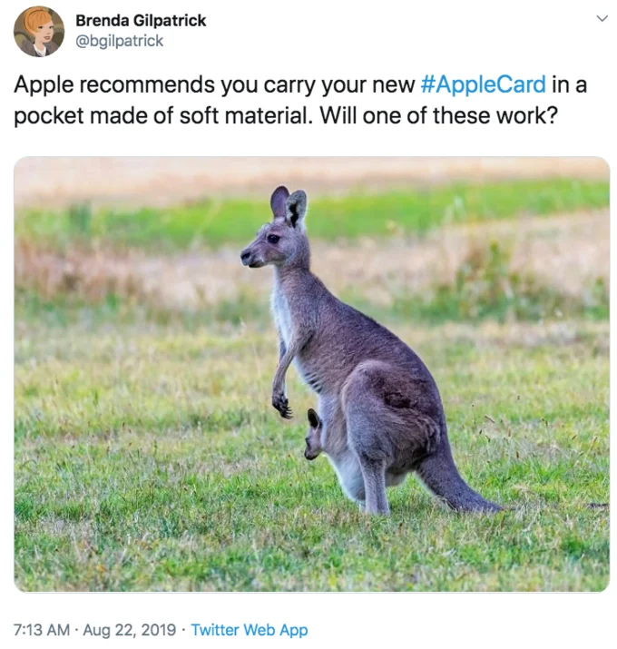 Cleaning The Apple Card — Twitter post asking if kangaroo qualifies as soft material for storing card.