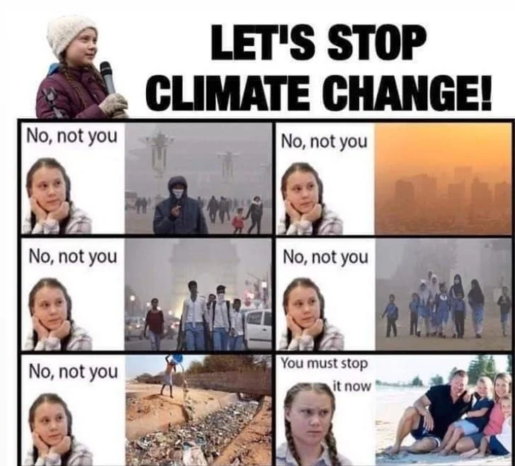 Climate Change Anxiety — Greta Thunberg 'No, not you' climate anxiety meme rejecting inadequate environmental responses