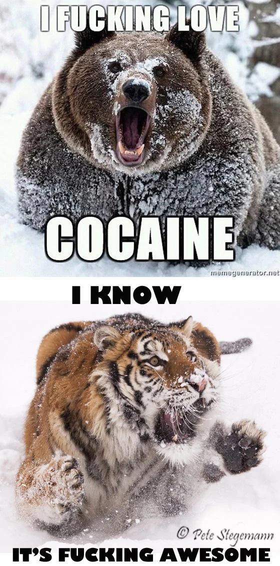 Cocaine Bear