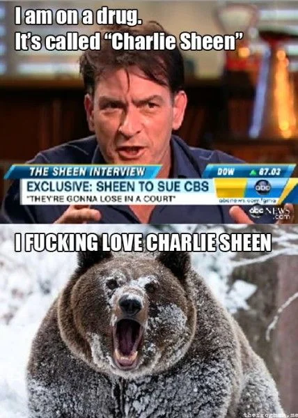 Cocaine Bear