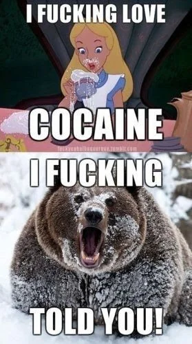 Cocaine Bear